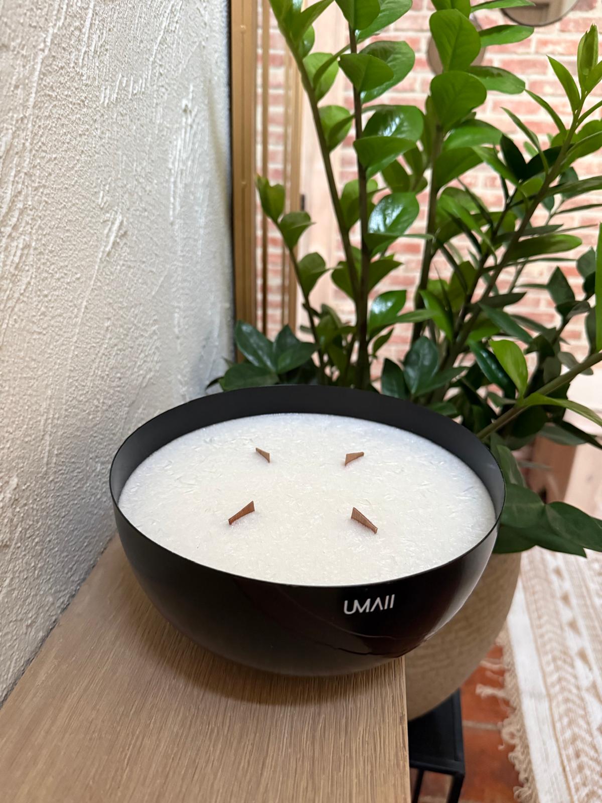 Emilia nieuw donker bruine streep 7